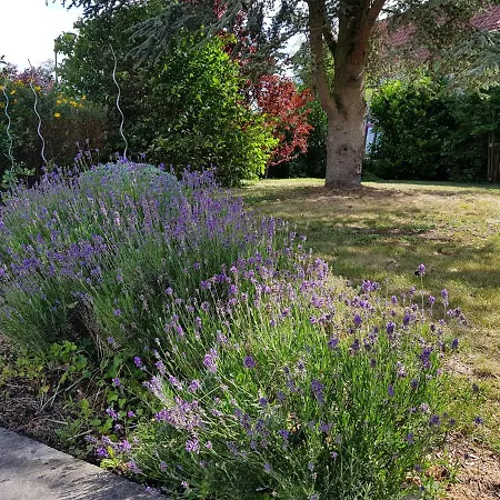 Au Petivall Achicourt