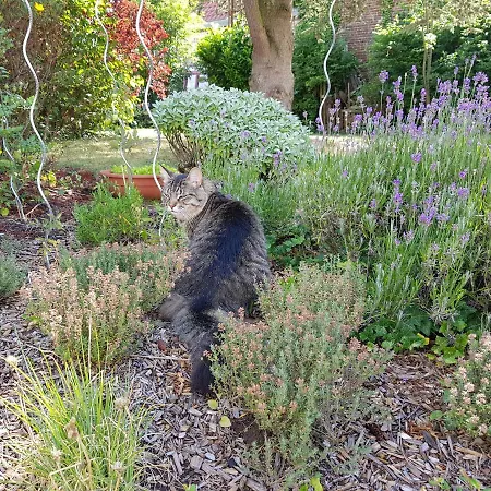 Dom wakacyjny Au Petivall