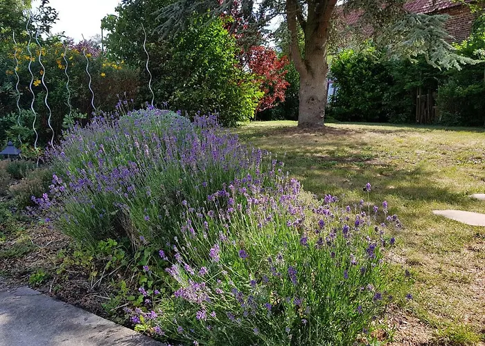 Au Petivall Achicourt