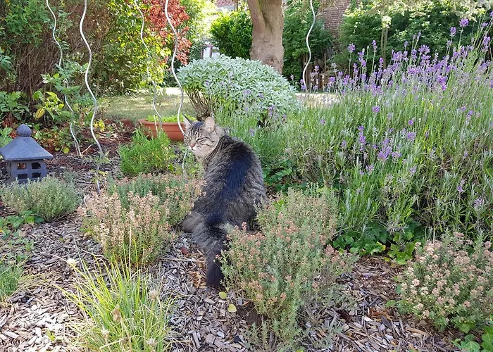 Hébergement de vacances Au Petivall